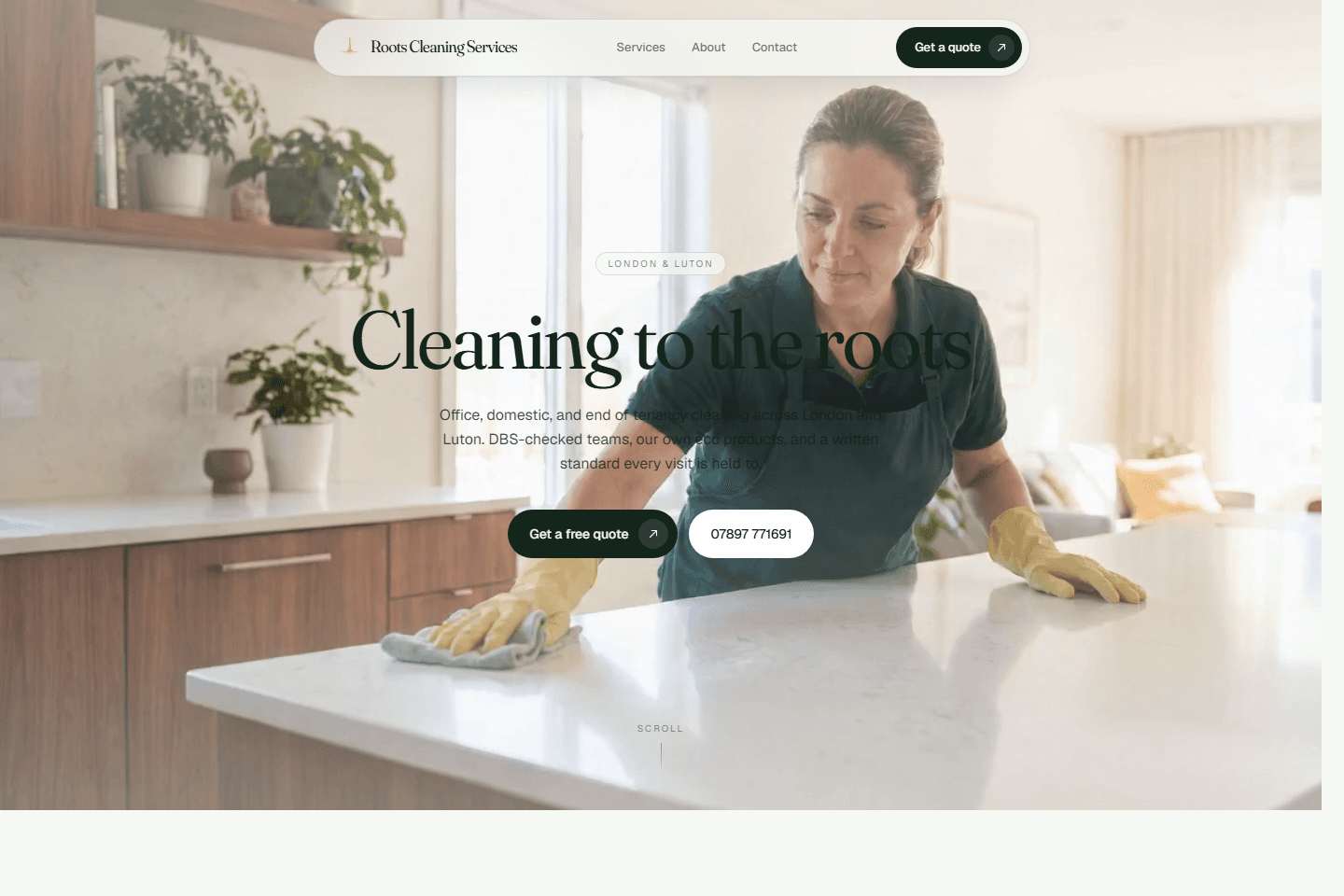 The Roots Cleaning Services homepage
